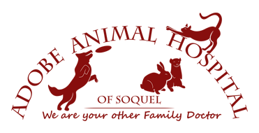 Adobe Animal Hospital logo