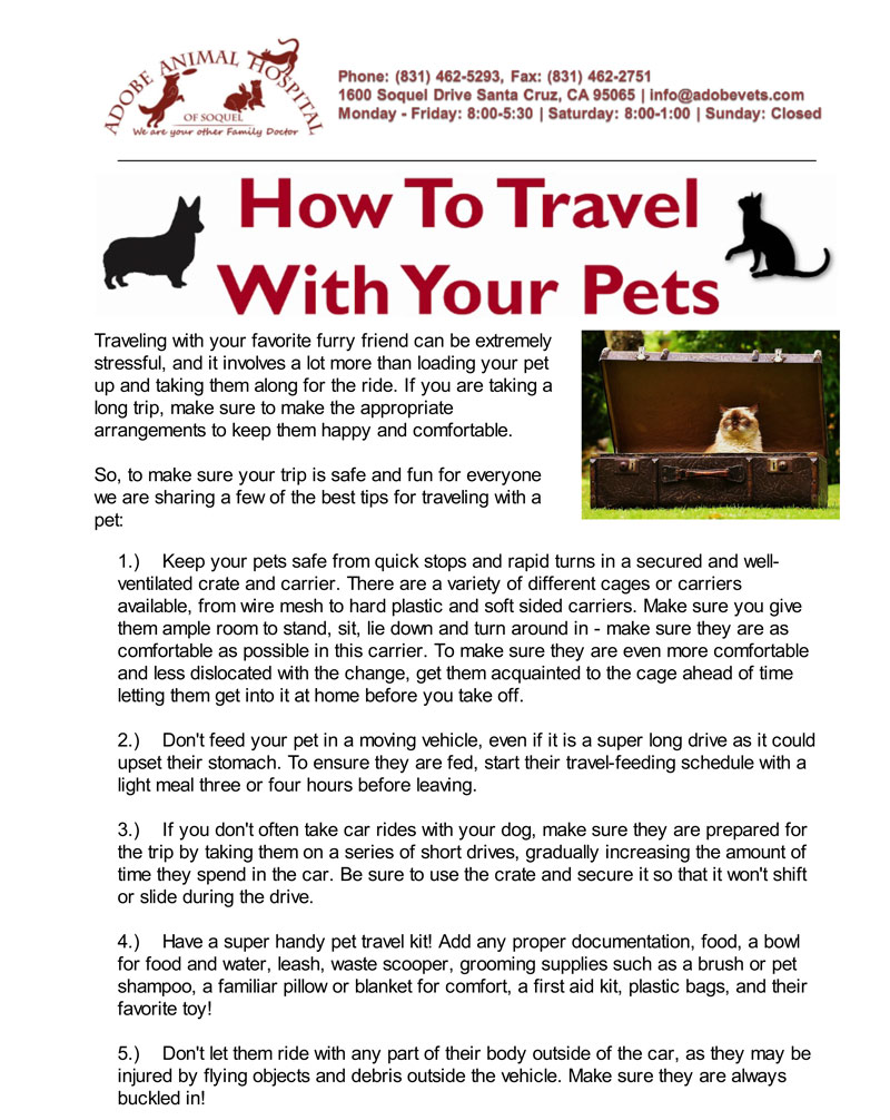Travel with your Pets