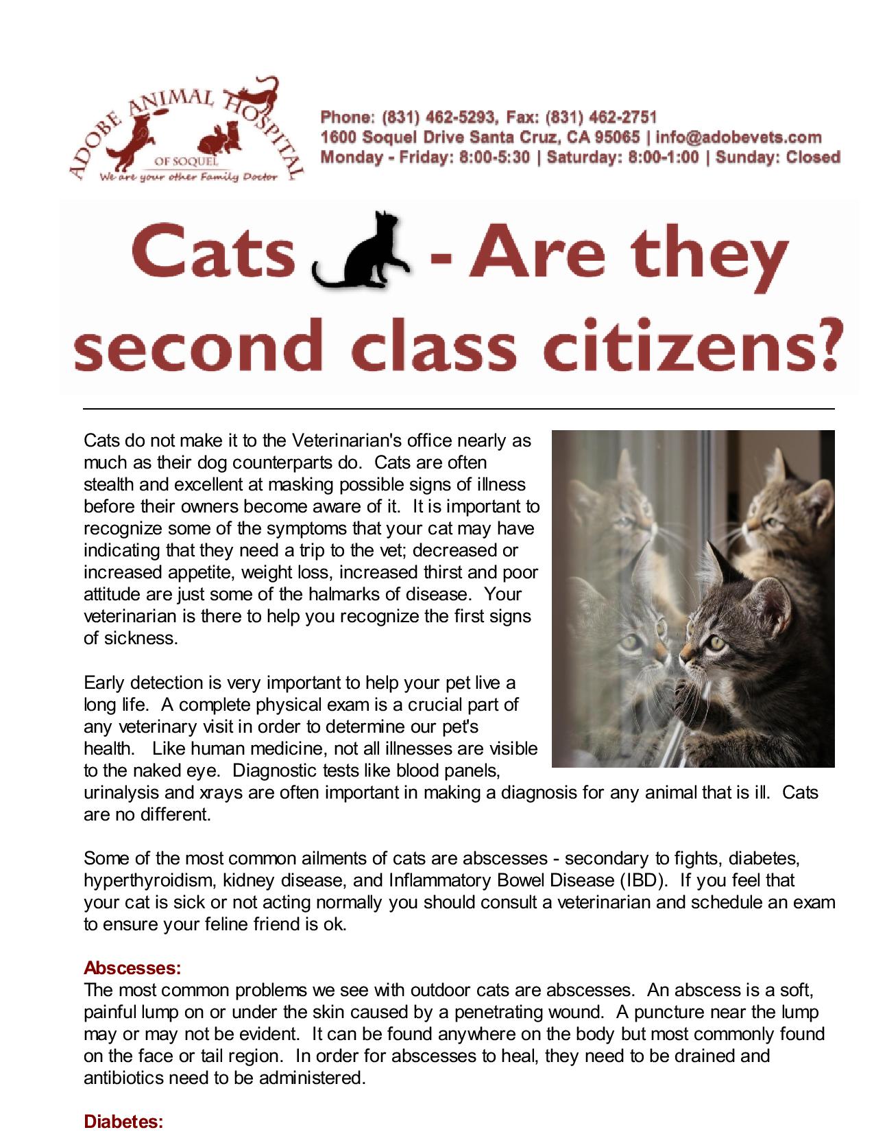 Cats - Second Class Citizens