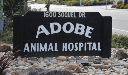 Adobe Animal Hospital sign