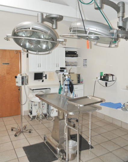 Adobe Animal Hospital surgery area