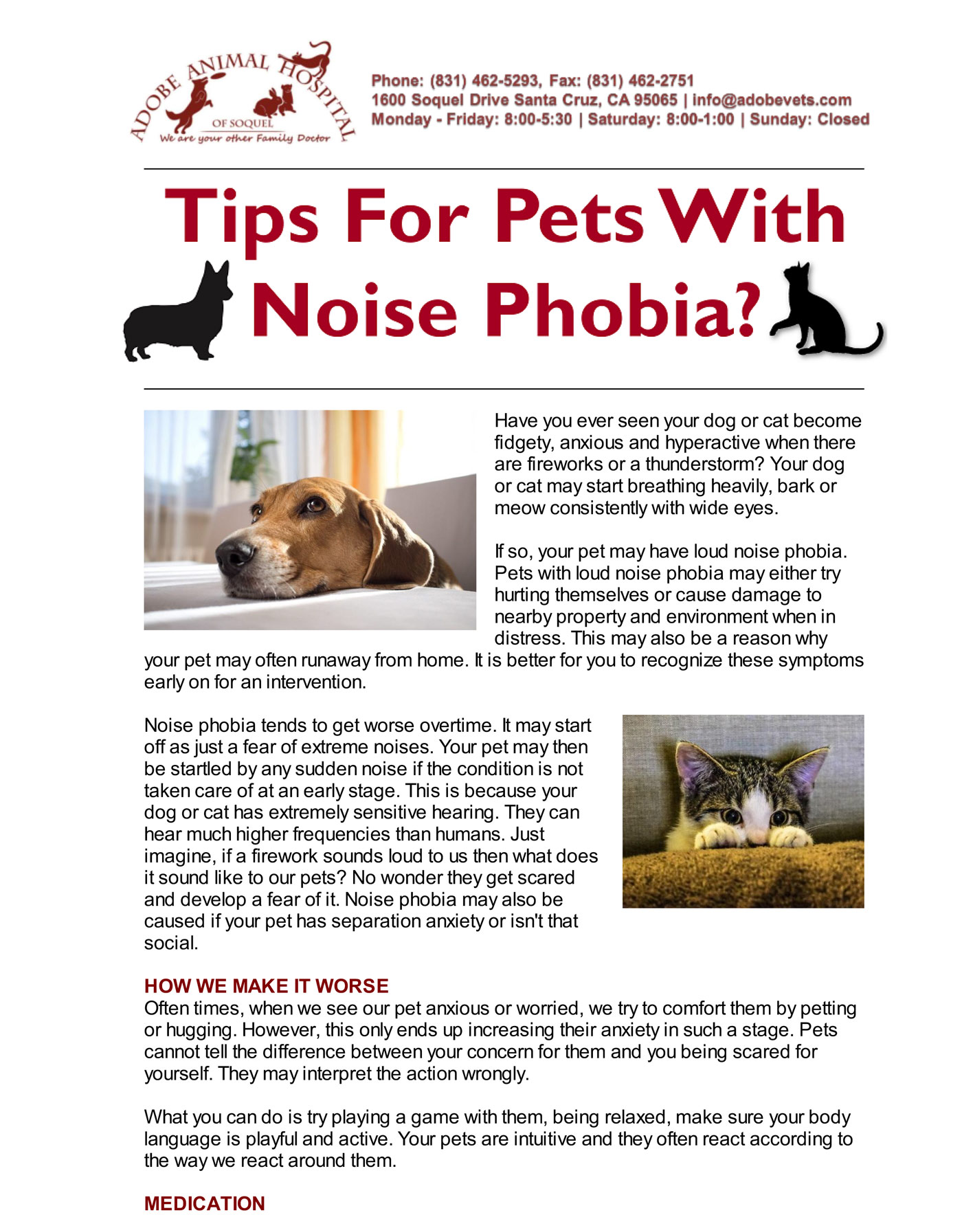 Pet Noise Phobia