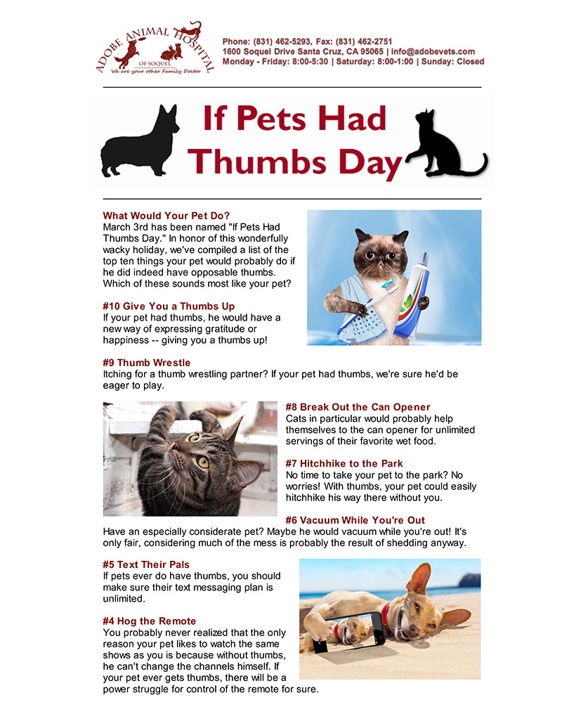 Pet Thumbs Day