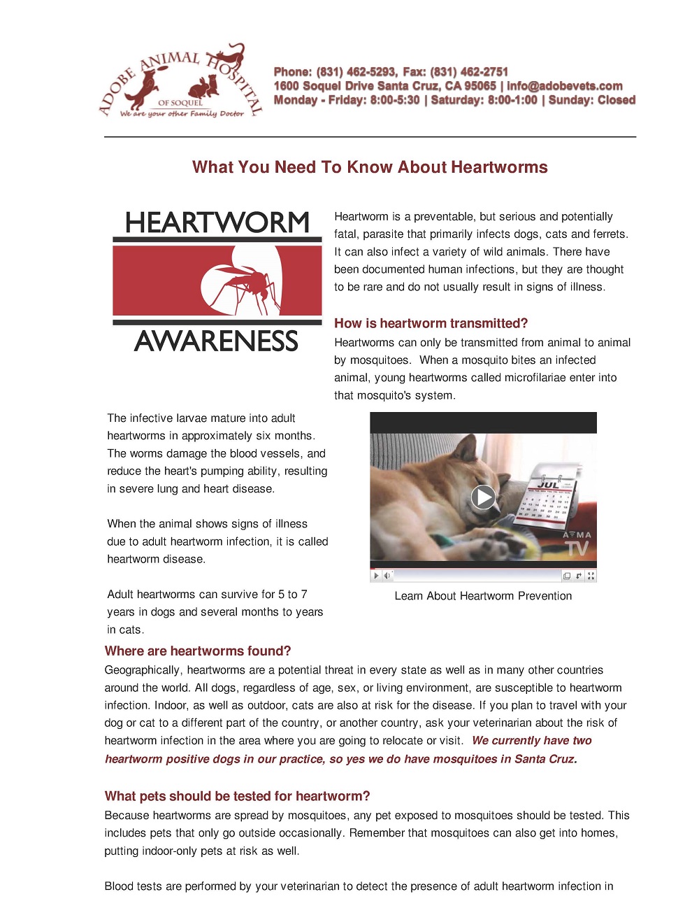 Heartworm Awareness