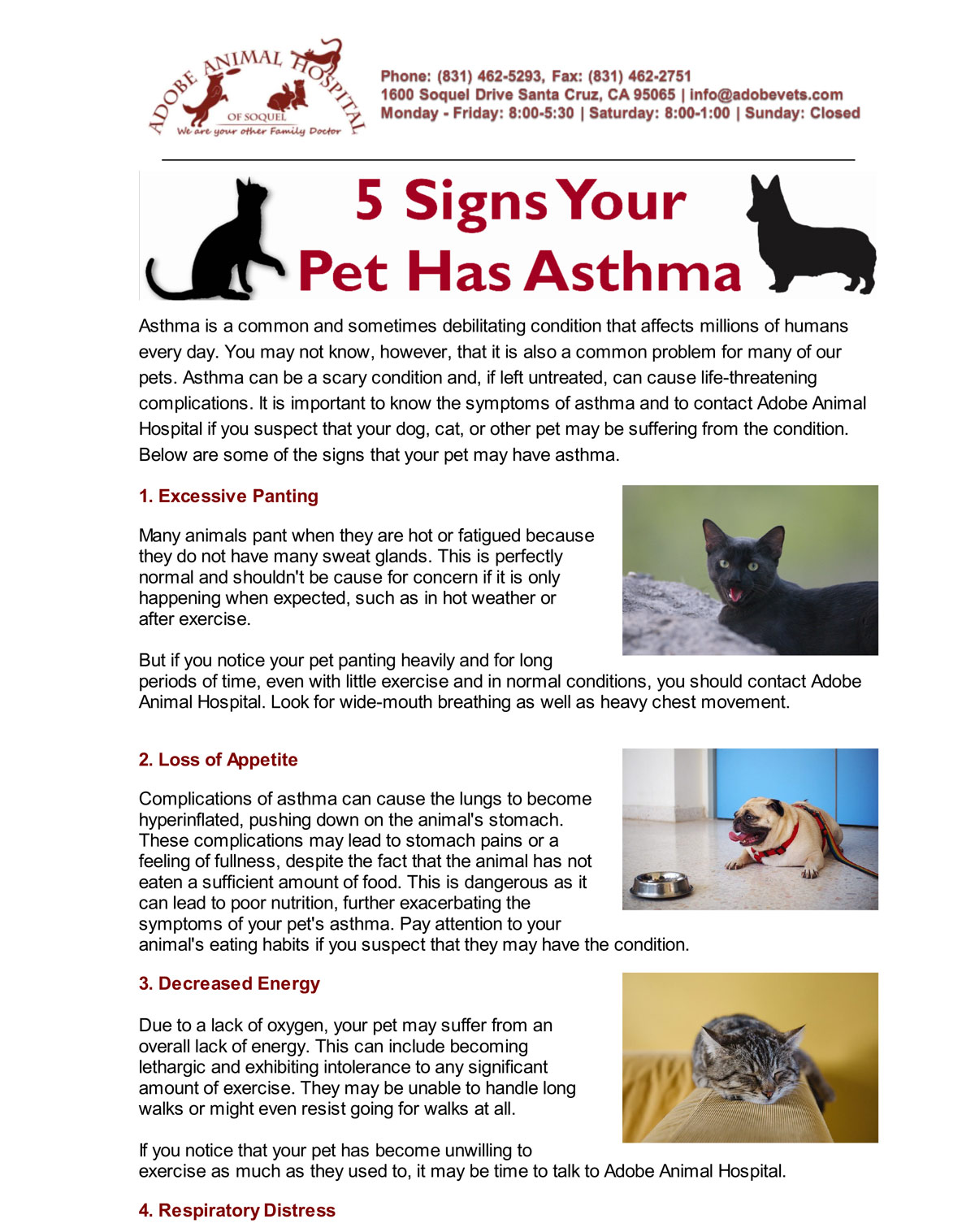 Pet Asthma