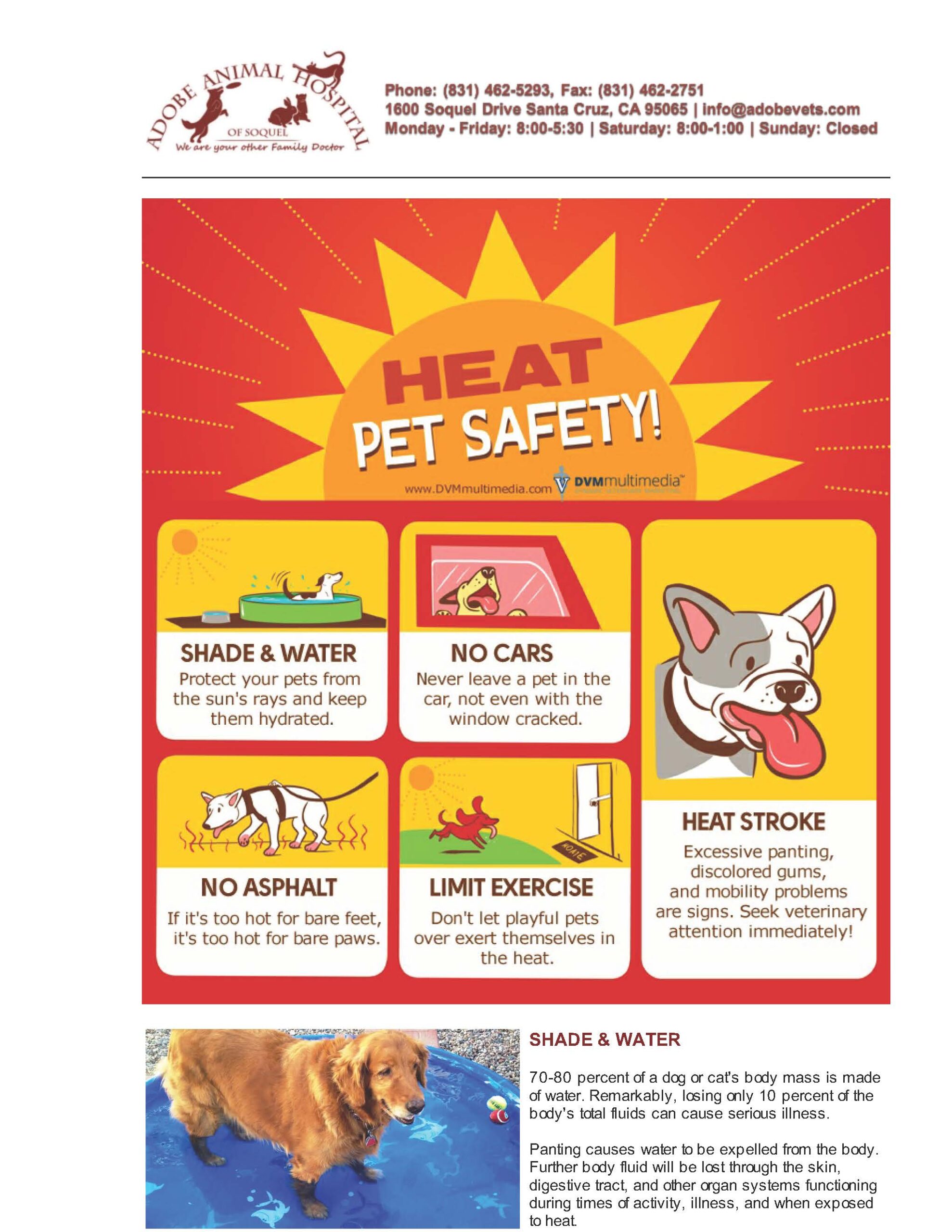 Heat Pet Safety