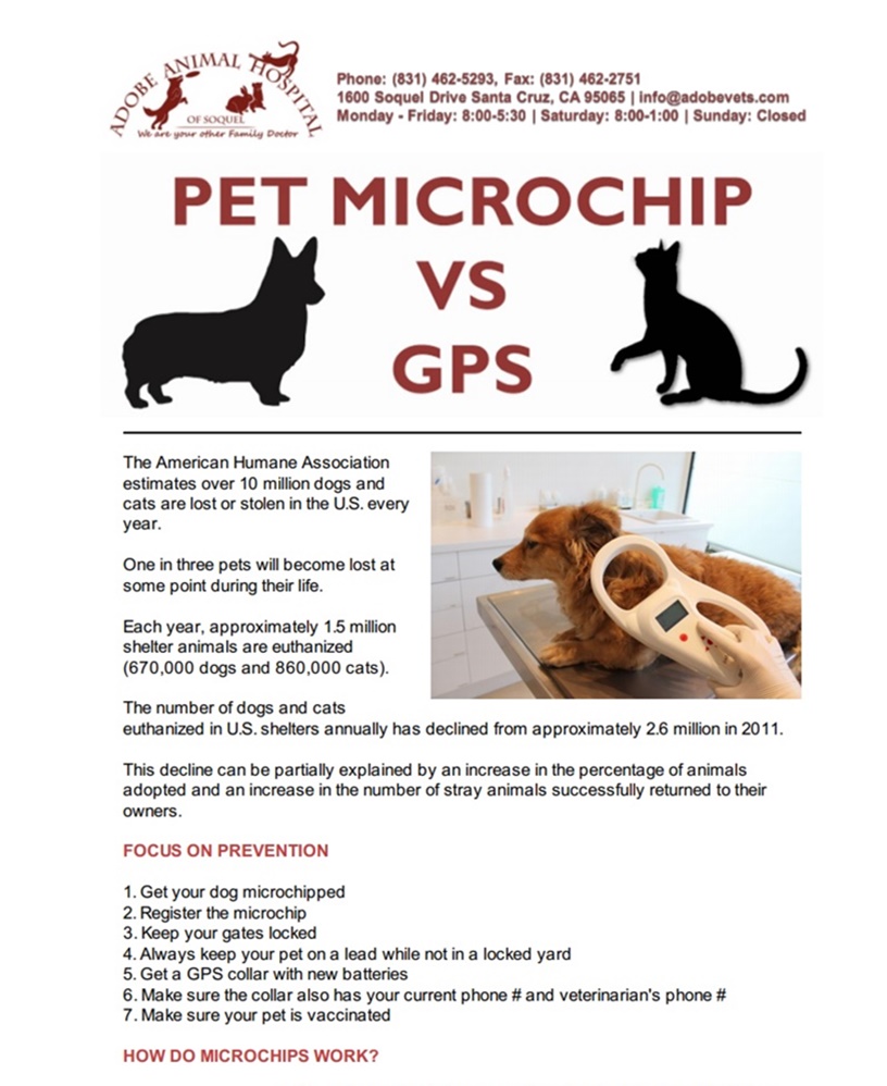 Pet Microchip vs GPS