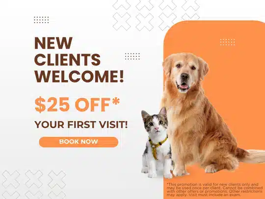 25 off NCP Graphics